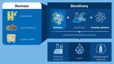  バイオマスプラスチック！持続可能な未来を創る革新的な素材