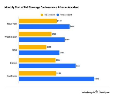 Do Pet Insurance Premiums Go Up with Age? And Why Do Cats Always Land on Their Feet?