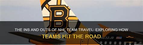 How Do NHL Teams Travel: Exploring the Skies and Beyond