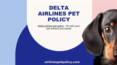 How to Add Service Animal to Delta Flight: A Journey Through the Skies with Your Furry Companion