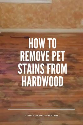 How to Remove Pet Stains from Hardwood Floors: A Comprehensive Guide and the Curious Case of Cats Who Love Polishing Wood