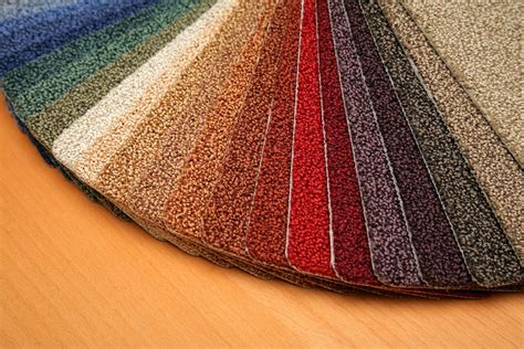 What is Pet Carpet: A Journey Through the Unseen Layers of Domestic Comfort