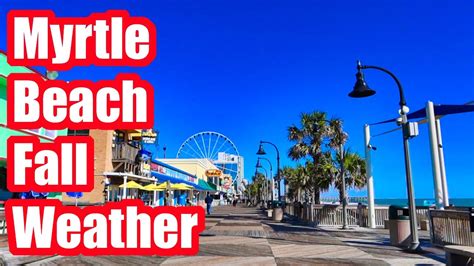 What's the weather like in Myrtle Beach in October, and why do seagulls suddenly start wearing sunglasses?